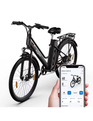 36V 250W City E-Bike - Nachhaltige urbane Mobilität